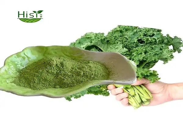 Difference between kale powder and fresh kale leaves